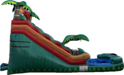 splash33 1755898618 Tropical Splash